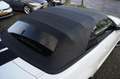 Ford Mustang USA 4.0 V6 Cabrio Handbak, Leder, Lage km-stand! Wit - thumbnail 12
