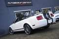 Ford Mustang USA 4.0 V6 Cabrio Handbak, Leder, Lage km-stand! Wit - thumbnail 22