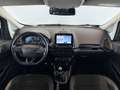 Ford EcoSport 1,0 EcoBoost ST-Line*Kamera*Ambiente*Totwinkel Grau - thumbnail 13