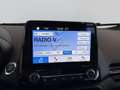 Ford EcoSport 1,0 EcoBoost ST-Line*Kamera*Ambiente*Totwinkel Grau - thumbnail 28