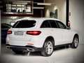 Mercedes-Benz GLC 250 4Matic Aut. Blanco - thumbnail 8