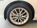 BMW 116 d Advantage, 17" Alu,Glasdach,Navi Pro,LED Sche... Wit - thumbnail 21