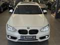 BMW 116 d Advantage, 17" Alu,Glasdach,Navi Pro,LED Sche... Wit - thumbnail 3