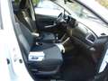Suzuki S-Cross 1.4 BOOSTERJET HYBRID 129CH PRIVILEGE Weiß - thumbnail 12