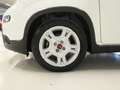 Fiat Panda 1.0 MHEV 70 5P Blanco - thumbnail 12