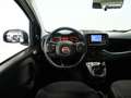 Fiat Panda 1.0 MHEV 70 5P Blanco - thumbnail 25