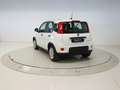 Fiat Panda 1.0 MHEV 70 5P Blanco - thumbnail 3