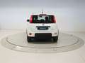 Fiat Panda 1.0 MHEV 70 5P Blanco - thumbnail 4
