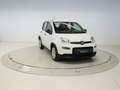 Fiat Panda 1.0 MHEV 70 5P Blanco - thumbnail 7