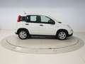 Fiat Panda 1.0 MHEV 70 5P Blanco - thumbnail 6