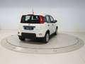 Fiat Panda 1.0 MHEV 70 5P Blanco - thumbnail 5