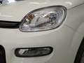 Fiat Panda 1.0 MHEV 70 5P Blanco - thumbnail 9