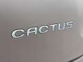 Citroen C4 Cactus 1.2 e-VTi Shine Navi,Pano,Camera,Cruise,Clima,Deal Blanc - thumbnail 30
