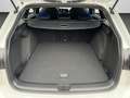 Volkswagen Golf VIII Variant R 2.0 TSI DSG MATRIX AHK BLACK Weiß - thumbnail 15