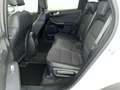 Ford Kuga 1.5 EcoBlue Titanium X B&O AHK SpoSi ACC Weiß - thumbnail 10