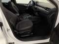 Ford Kuga 1.5 EcoBlue Titanium X B&O AHK SpoSi ACC Weiß - thumbnail 8