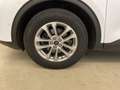 Ford Kuga 1.5 EcoBlue Titanium X B&O AHK SpoSi ACC Weiß - thumbnail 11