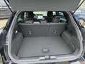 Ford Puma ST-Line  MHEV Automatik/Sync IV/Winter-P. Schwarz - thumbnail 20
