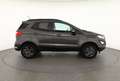 Ford EcoSport 1.0 EB Navi Android Apple DAB PDC USB Gris - thumbnail 6