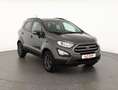Ford EcoSport 1.0 EB Navi Android Apple DAB PDC USB Gris - thumbnail 7