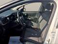 Citroen C3 Shine Weiß - thumbnail 8