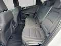 Ford Kuga 2.5 Duratec PHEV TITANIUM Weiß - thumbnail 13