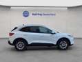Ford Kuga 2.5 Duratec PHEV TITANIUM Weiß - thumbnail 6
