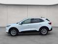 Ford Kuga 2.5 Duratec PHEV TITANIUM Weiß - thumbnail 2
