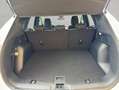 Ford Kuga 2.5 Duratec PHEV TITANIUM Weiß - thumbnail 5