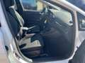 Ford Fiesta 1.0 Titanium Plus AHK+CARPLAY+WINTERPAKET Blanc - thumbnail 19