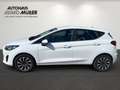 Ford Fiesta 1.0 Titanium Plus AHK+CARPLAY+WINTERPAKET Blanco - thumbnail 6