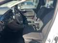 Ford Fiesta 1.0 Titanium Plus AHK+CARPLAY+WINTERPAKET Bianco - thumbnail 11