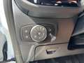 Ford Fiesta 1.0 Titanium Plus AHK+CARPLAY+WINTERPAKET Blanc - thumbnail 24