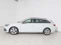 SEAT Leon Sportstourer 1.5 eTSI DSG FR LED/NAV/KAMERA Weiß - thumbnail 5
