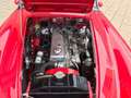 Austin Healey 3.0 Mk III Rot - thumbnail 4