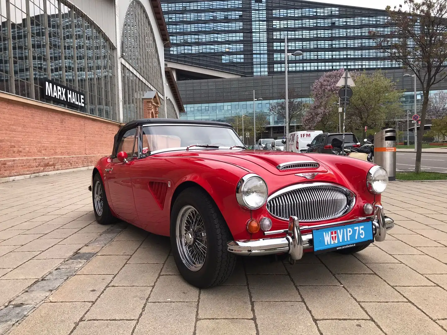 Austin Healey 3.0 Mk III Rot - 2
