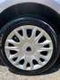 Lancia Ypsilon Ypsilon III 2015 1.2 Elefantino Blu Gpl 69cv my19 Gris - thumbnail 8