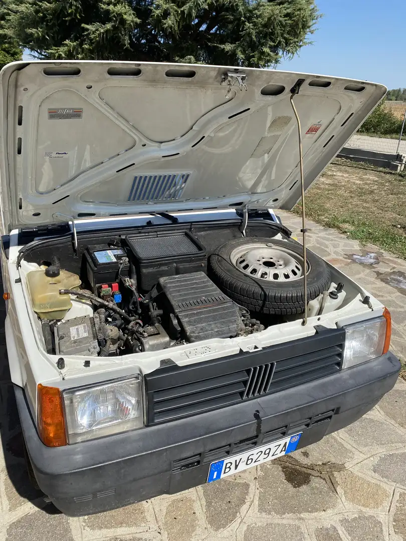 Fiat Panda 1.1 Young - 1