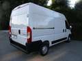 Fiat Ducato L2H2 FURGONE 2.2 -140cv CITROEN JUMPER Blanc - thumbnail 2