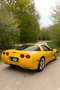 Chevrolet Corvette - thumbnail 2