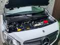 Mercedes-Benz Citan 111 CDI lang*1.HAND* 22.500 KM* 2 x SCHIEBETÜR Weiß - thumbnail 21