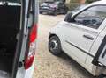 Ford Tourneo Connect Trend Weiß - thumbnail 12