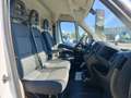 Fiat Ducato 290 30 CH1 2.3 mjt 120cv E6d-temp Weiß - thumbnail 13