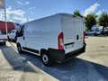 Fiat Ducato 290 30 CH1 2.3 mjt 120cv E6d-temp Weiß - thumbnail 7
