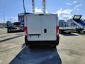 Fiat Ducato 290 30 CH1 2.3 mjt 120cv E6d-temp Weiß - thumbnail 6
