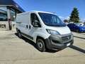 Fiat Ducato 290 30 CH1 2.3 mjt 120cv E6d-temp Weiß - thumbnail 3
