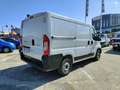 Fiat Ducato 290 30 CH1 2.3 mjt 120cv E6d-temp Weiß - thumbnail 5