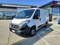 Fiat Ducato 290 30 CH1 2.3 mjt 120cv E6d-temp Weiß - thumbnail 1