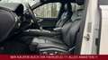 Audi SQ7 4.0 TDI quattro MATRIX/V8T/PANO/22"/VOLL Weiß - thumbnail 11