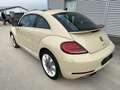 Volkswagen Beetle Final Edition Leder Panorama Fender Beżowy - thumbnail 6